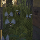 Image for article titled My Journey To Photograph All The Wildlife In The Division 2
